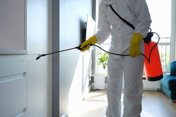 Best Professional Mold Removal  in Newport, TN