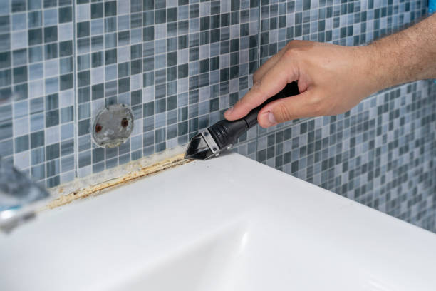 Reliable Newport, TN Mold Removal Solutions